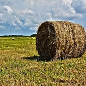 onda agraria onda agraria