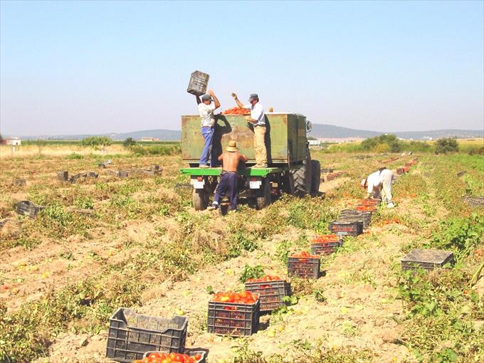 La Comunidad de Labradores y Ganaderos de Almendralejo rechaza la propuesta de reducir la nueva PAC más del 20% La Comunidad de Labradores y Ganaderos de Almendralejo rechaza la propuesta de reducir la nueva PAC más del 20%