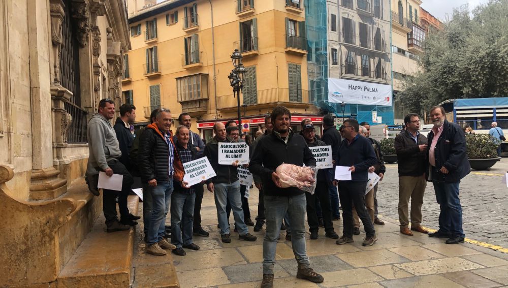 Agricultores y ganaderos de Mallorca, frente a Cort, con una porcella que han entregado al Alcalde de Palma.
