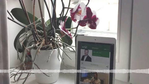 La radio cruza fronteras para llegar a Bea que está en Viena La radio cruza fronteras para llegar a Bea que está en Viena