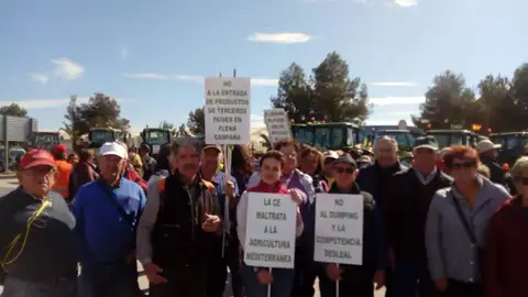 Agricultores de Elche en la tractorada de Novelda. Agricultores de Elche en la tractorada de Novelda.