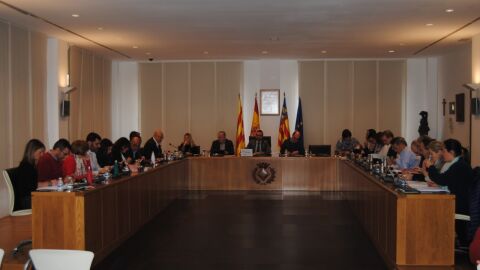 La corporaci&oacute; municipal dona llum verda a una declaraci&oacute;n institucional amb motiu de la celebracio del D&iacute;a Internacional de la Dona. 