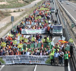 Movilización de los agricultores de la provincia de Alicante. Movilización de los agricultores de la provincia de Alicante.
