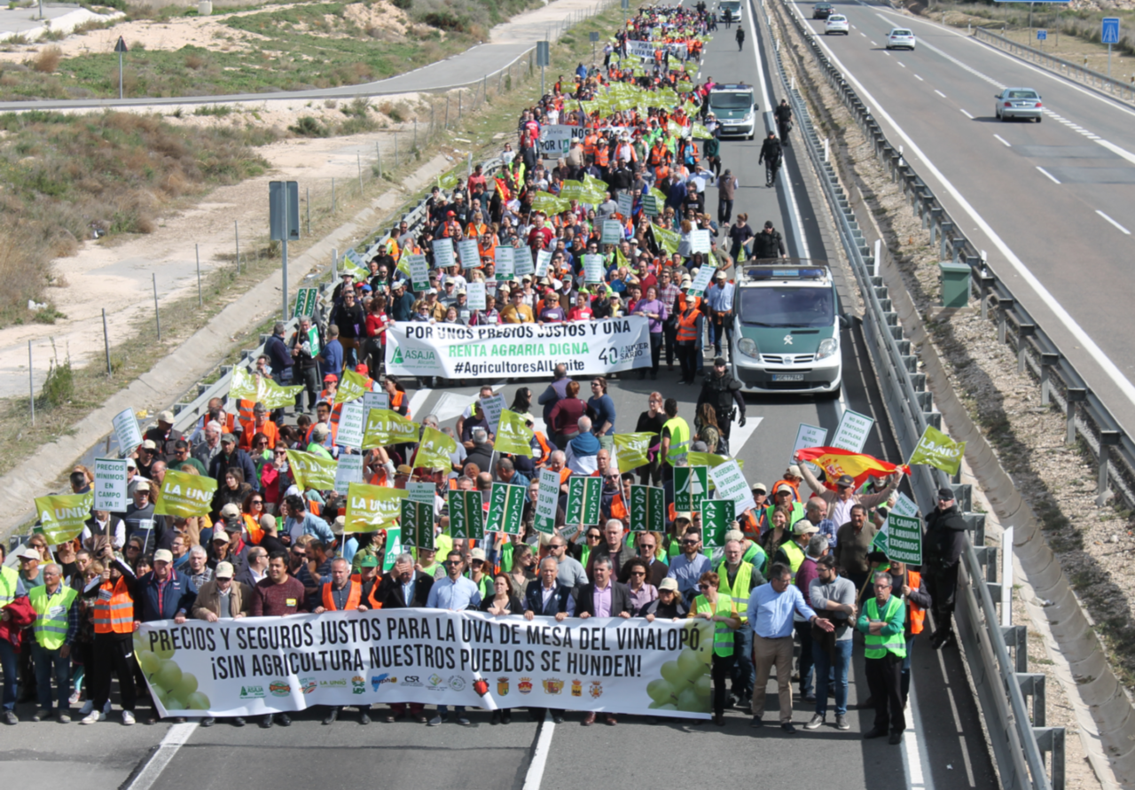 Los agricultores de la provincia se echan a la calle para exigir medidas que garanticen la supervivencia de sus explotaciones Los agricultores de la provincia se echan a la calle para exigir medidas que garanticen la supervivencia de sus explotaciones