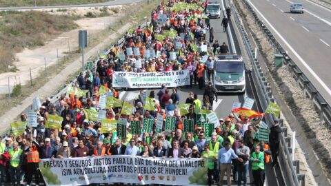 Movilizaci&oacute;n de los agricultores de la provincia de Alicante.