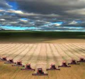 Onda Agraria PAC Onda Agraria PAC