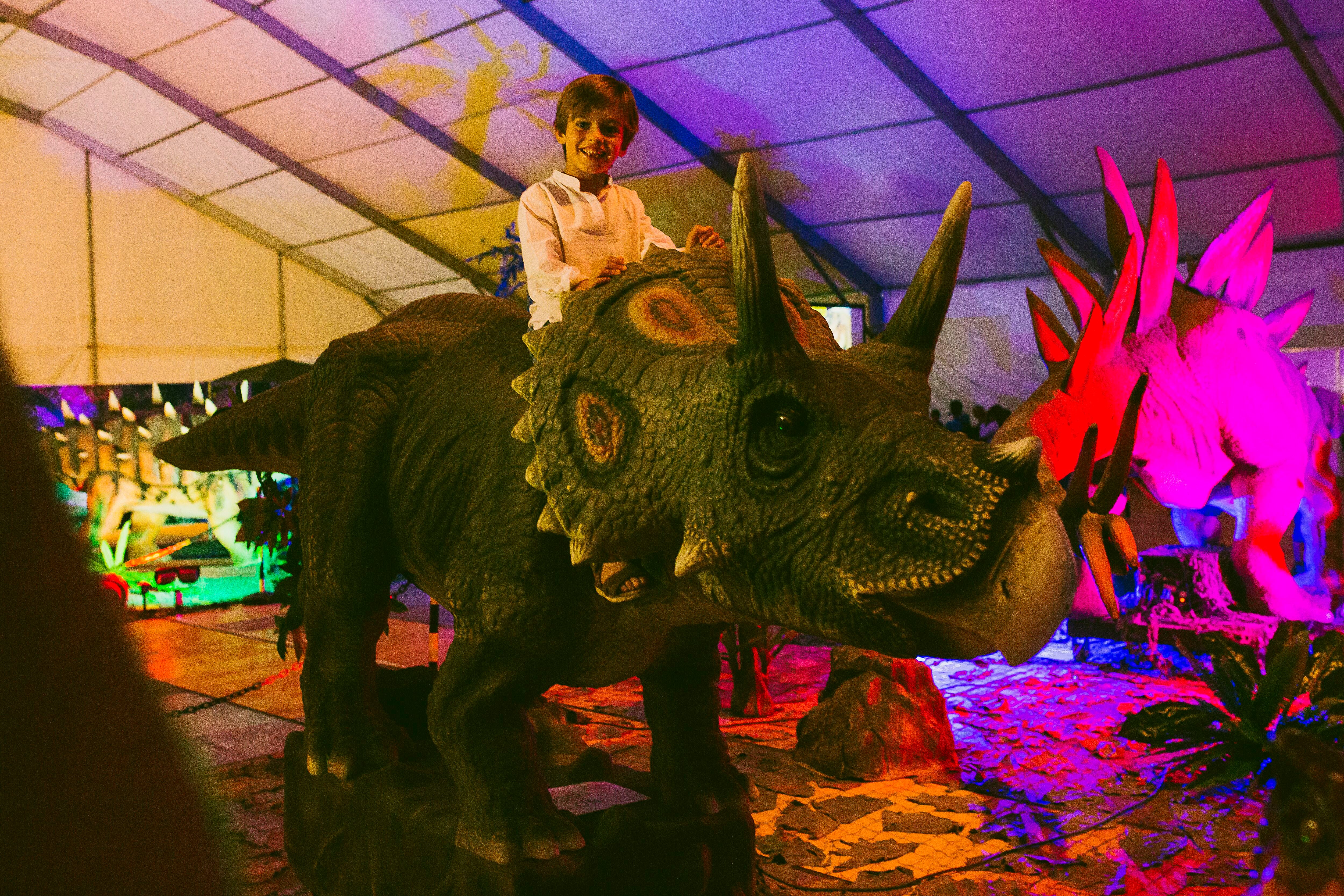 Chega a Ourense Dinosaurios Tour Chega a Ourense Dinosaurios Tour