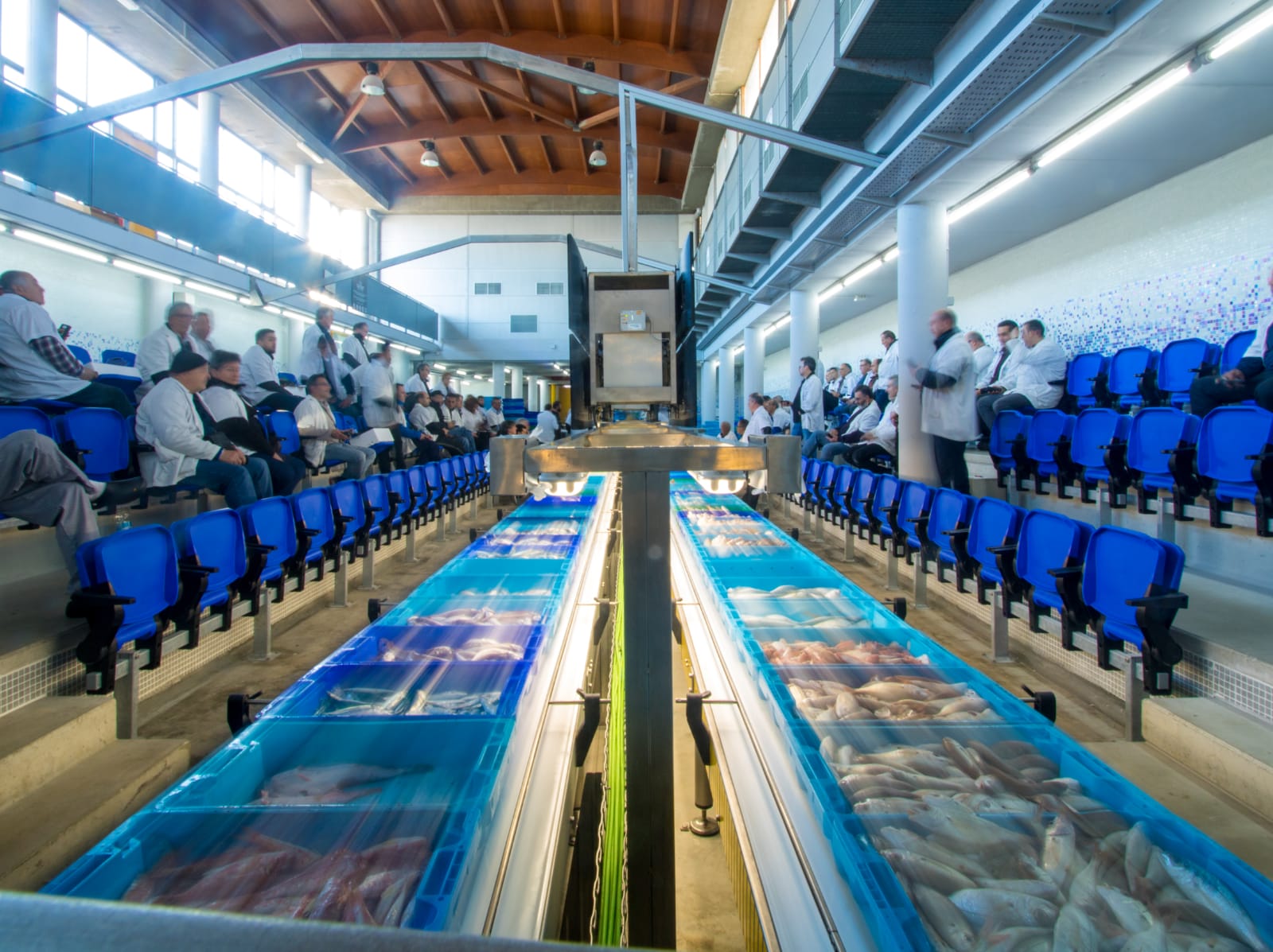 Las descargas de pescado se incrementan en el Puerto de Marín Las descargas de pescado se incrementan en el Puerto de Marín