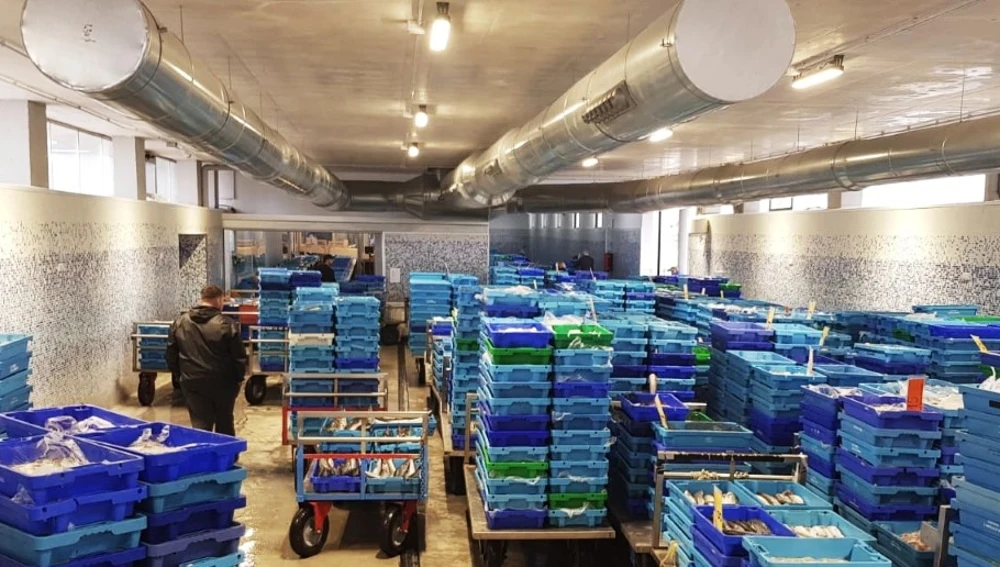 Cajas de pescado en la Lonja de Santa Pola. Cajas de pescado en la Lonja de Santa Pola.