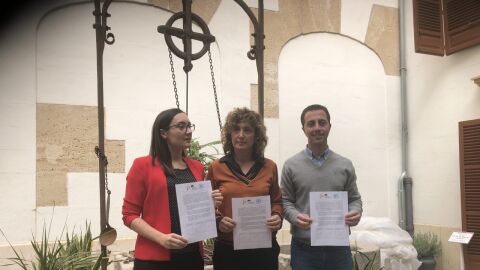 Consell de Mallorca