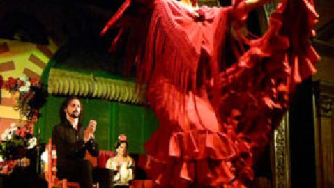 flamenco