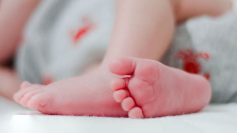 Descubren fallos de seguridad profundos en c&aacute;maras vigilabeb&eacute;s.