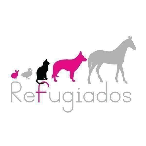 Entrevista Refugiados: Adopción de mascotas durante el estado de alarma - MÁS DE UNO CARTAGENA 17/04/20 Entrevista Refugiados: Adopción de mascotas durante el estado de alarma - MÁS DE UNO CARTAGENA 17/04/20