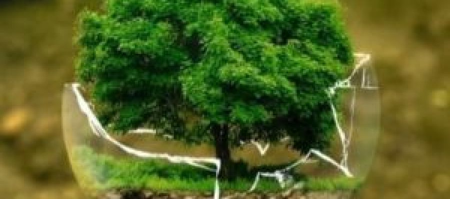 Analiza continua con su programa para el cuidado al medio ambiente Analiza continua con su programa para el cuidado al medio ambiente
