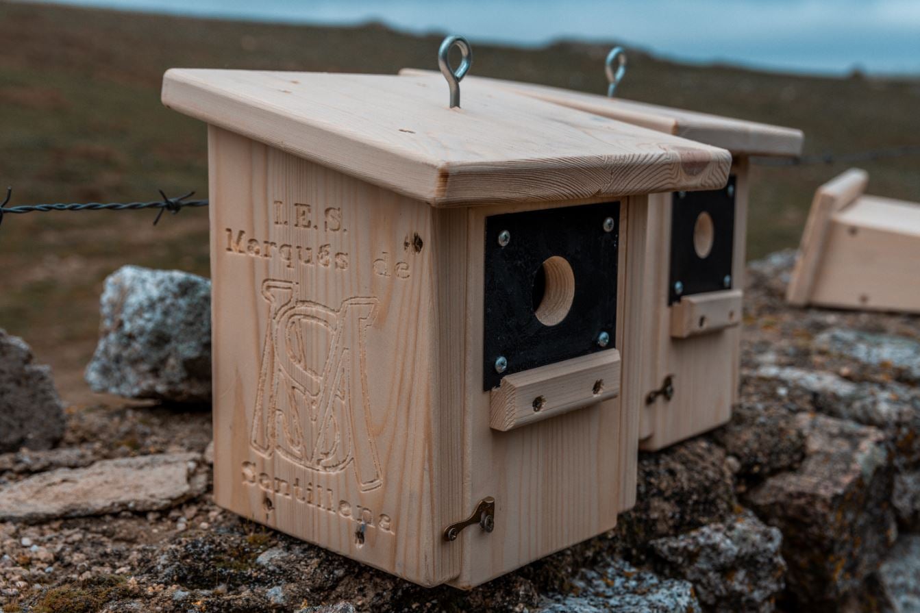 Aves insectívoras y murciélagos contra la oruga procesionaria Aves insectívoras y murciélagos contra la oruga procesionaria