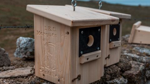 Cajas Nido Colmenar Viejo