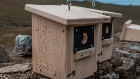 Cajas Nido Colmenar Viejo Cajas Nido Colmenar Viejo