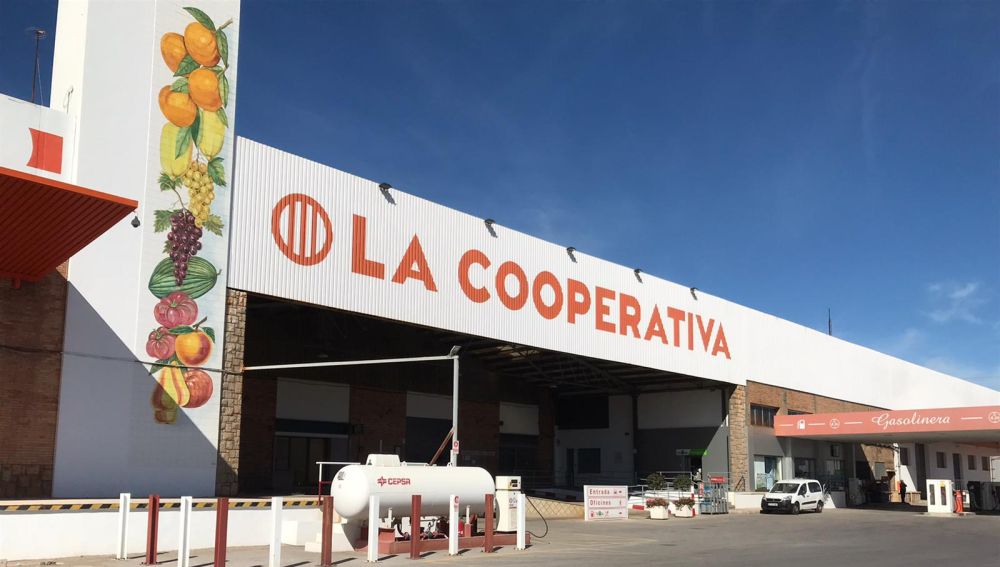 Imatge del magatzem de la Cooperativa Catòlic Agraria on s´alberga part dels aliments a repartir entre les families més desfavorides. 