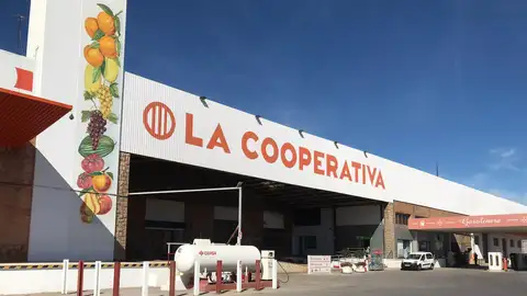 Imatge del magatzem de la Cooperativa Catòlic Agraria on s´alberga part dels aliments a repartir entre les families més desfavorides. Més de 200 voluntaris treballen per coordinar l´últim repartiment que comença hui dimarts.