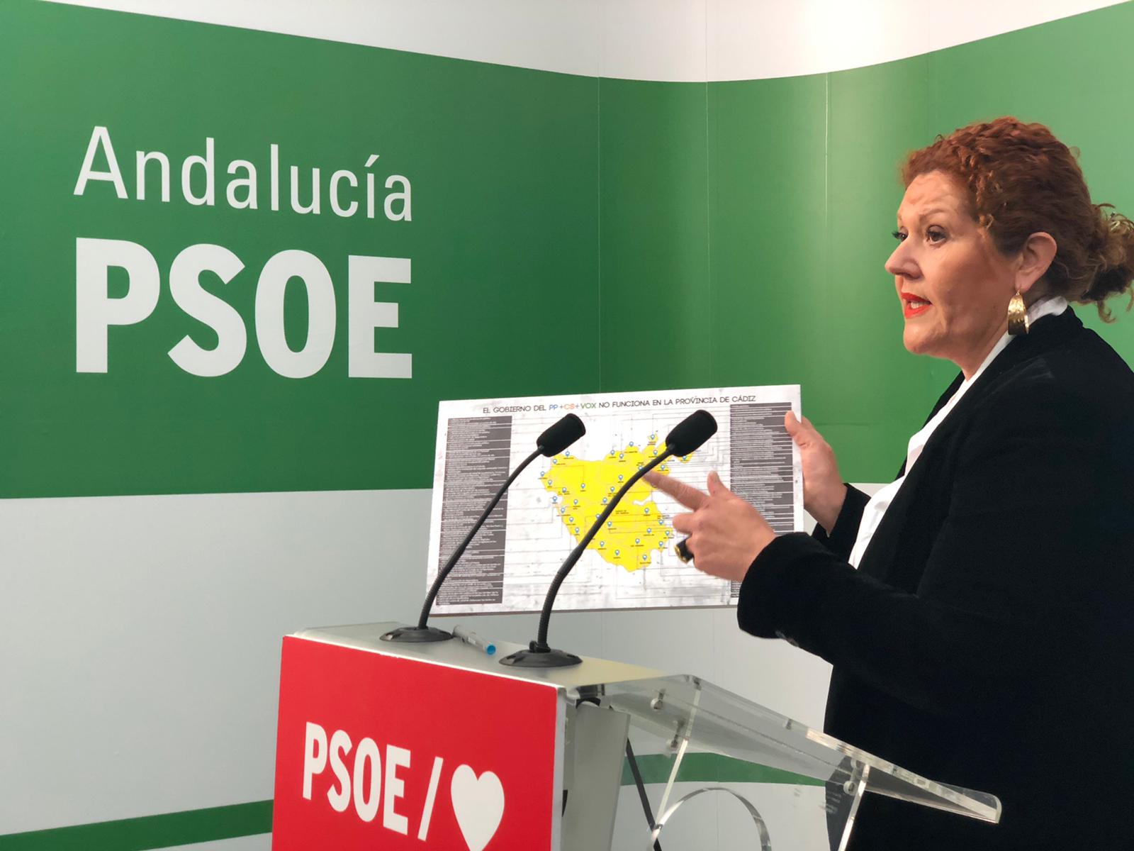 Araceli Maese: "Los militantes nos han pedido claramente el inicio de las primarias del PSOE" Araceli Maese: "Los militantes nos han pedido claramente el inicio de las primarias del PSOE"