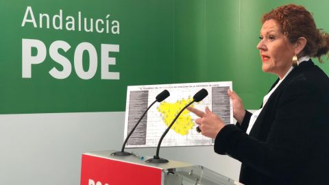 Araceli Maese, secretaria de organizaci&oacute;n del PSOE de C&aacute;diz