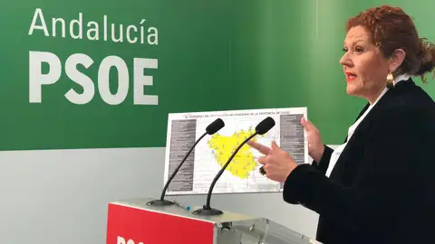 Araceli Maese, secretaria de organización del PSOE de Cádiz Araceli Maese, secretaria de organización del PSOE de Cádiz