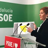 Araceli Maese, secretaria de organización del PSOE de Cádiz Araceli Maese, secretaria de organización del PSOE de Cádiz
