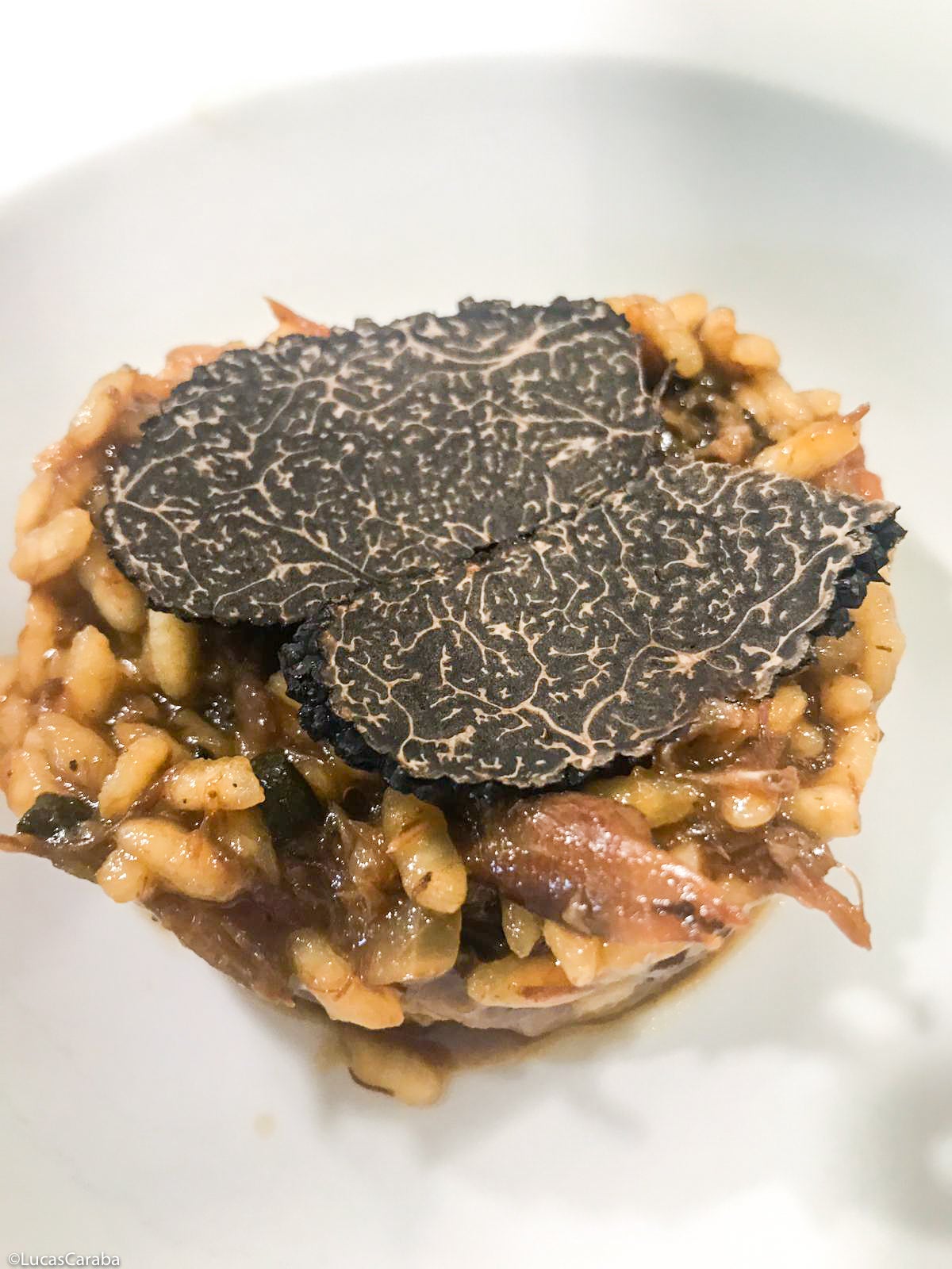 La Brújula de La Rioja. 11/03/2020 La Brújula de La Rioja. 11/03/2020