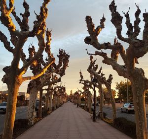 Avenida de Lledó Avenida de Lledó
