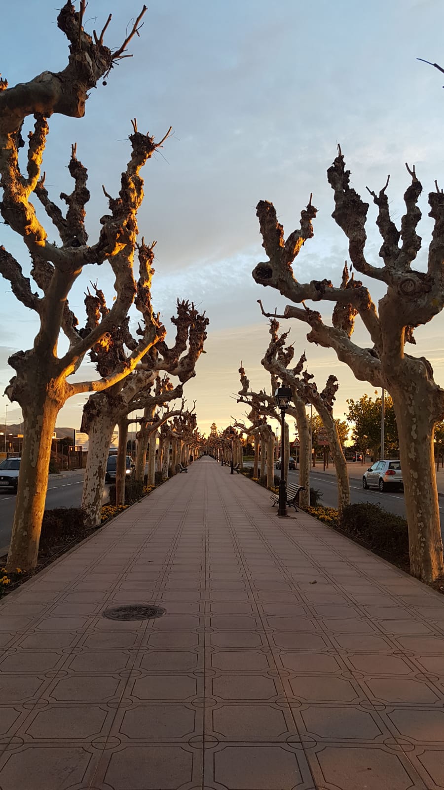Vecinos de Lledó contra el ayuntamiento que denuncia intereses partidistas Vecinos de Lledó contra el ayuntamiento que denuncia intereses partidistas