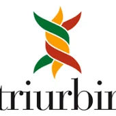 triurbir triurbir