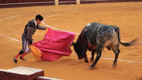 Plaza de toros de Espa&ntilde;a