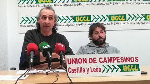 Palencia