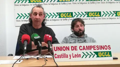 UCCL Gónzalez Palacín Palencia