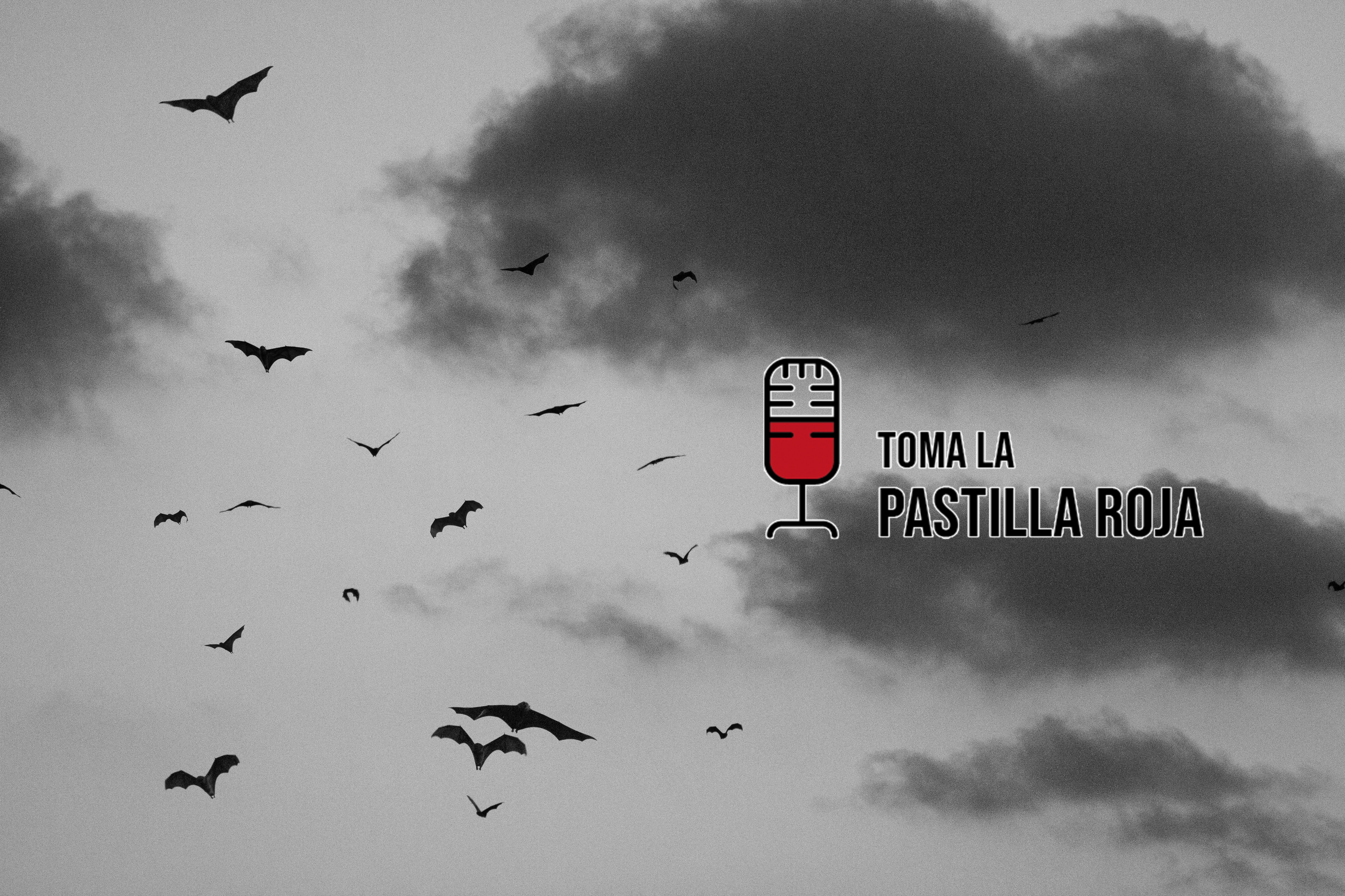 TLPR 1X09: Vampiros, el origen científico del mito y su evolución cinematográfica TLPR 1X09: Vampiros, el origen científico del mito y su evolución cinematográfica