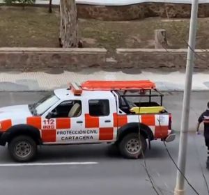 Protección Civil de Cartagena baila el "Hola don Pepito, hola Don José" para celebrar el Día del Padre a pesar del coronavirus Protección Civil de Cartagena baila el "Hola don Pepito, hola Don José" para celebrar el Día del Padre a pesar del coronavirus