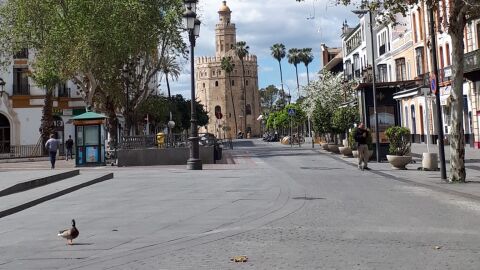 Cuarentena Coronavirus