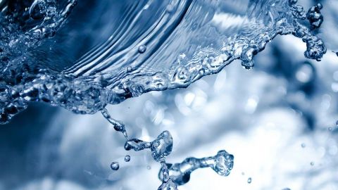 D&iacute;a del Agua