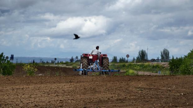 "Ahora la sociedad se está dando cuenta de la importancia de la actividad del campo" "Ahora la sociedad se está dando cuenta de la importancia de la actividad del campo"