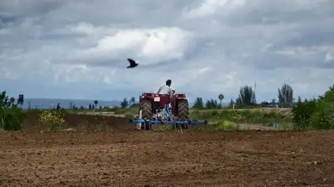 Asaja valora positivamente la labor del sector del campo durante el estado de alarma Asaja valora positivamente la labor del sector del campo durante el estado de alarma
