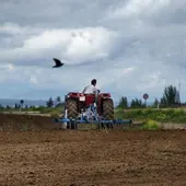 Asaja valora positivamente la labor del sector del campo durante el estado de alarma Asaja valora positivamente la labor del sector del campo durante el estado de alarma