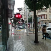 Elche con lluvia. Elche con lluvia.