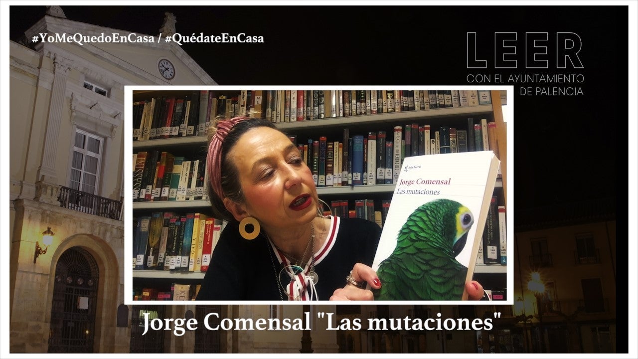 La Concejalía de Cultura lanza una campaña en redes para fomentar la lectura mientras se prolonguen las medidas de aislamiento La Concejalía de Cultura lanza una campaña en redes para fomentar la lectura mientras se prolonguen las medidas de aislamiento