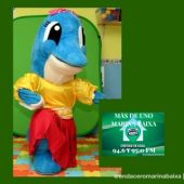 DELFINES ACTIVIDADES