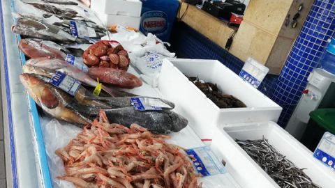 Cooperativa pescadores rota
