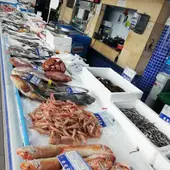 Cooperativa pescadores rota Cooperativa pescadores rota