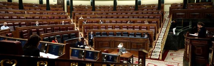 ¿Cree que el Parlamento debe reanudar su actividad para poder controlar al Gobierno a pesar de la situación excepcional?