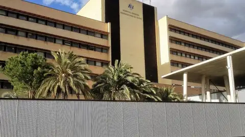 El Hospital General Universitario de Elche.