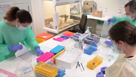 &iquest;Qu&eacute; sabemos sobre el coronavirus?