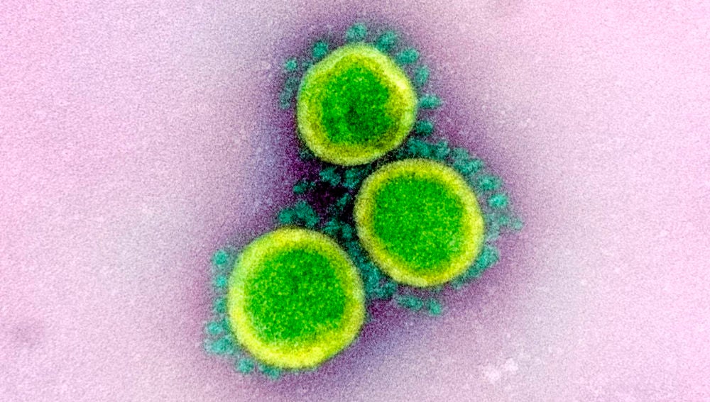 La OMS confirma que el coronavirus no viaja libremente por el aire sino en gotas